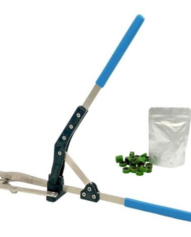 LFM Large Castration Bander Elastrator Tool for Livestock - Pack of 25 Large Bands Included - Effective for Bloodless Castrating for Bulls, Calves, Goats, Sheep, Horses and More