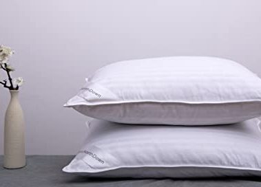 ArcticNorthDown Goose Down Feather Bed Pillows for Sleeping Hotel Collection Queen Pair Pillows Stripe White Queen Set of 2 Pillows