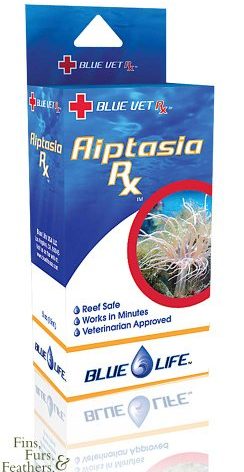 Blue Life Aiptasia Rx [Misc.]