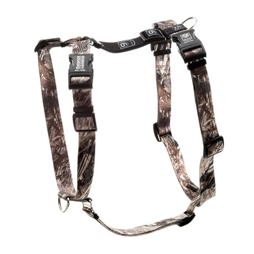 Version 1.0.0 Version 1.0.0