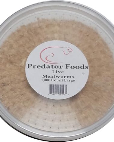 Predator Foods Bulk Live Mealworms - 1,000 Count (Large - ~.75")