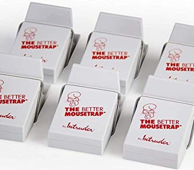 Intruder 16000 The Better Mousetrap, 2-Pk. - Quantity 6