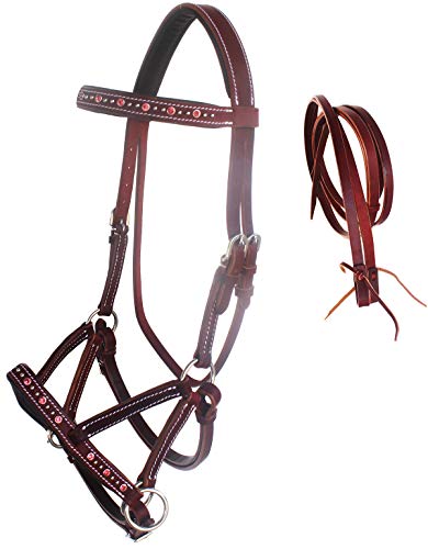 Version 1.0.0 Version 1.0.0