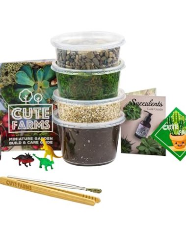 Cute Farms Terrarium Starter Kit | Moss, Vermiculite, Soil, Pebbles, Plant Food, Finishing Tools, Build and Care Guide | DIY Succulent Terrarium for Adults and Kids (Medium)