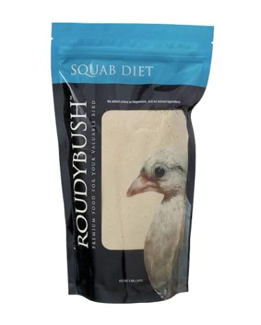 RoudyBush Squab Diet Dove & Pigeon Feed - Baby Bird Food for Columbiformes - Crop Milk Replacement Dove & Pigeon Food Mix - Chick Enrichment for Birds 7-14 Days (1lb)