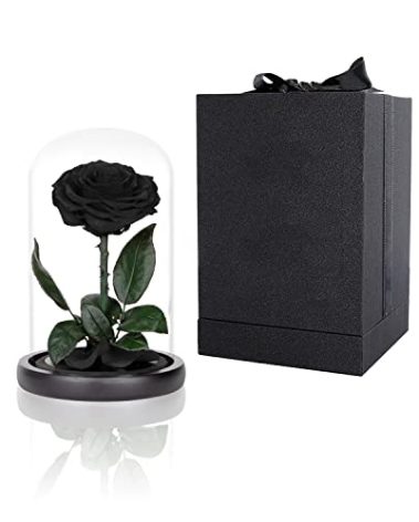 Preserved Roses Black Roses in Glass Dome, Medium, Preserved Flowers for Mothers Day, Gifts for Women