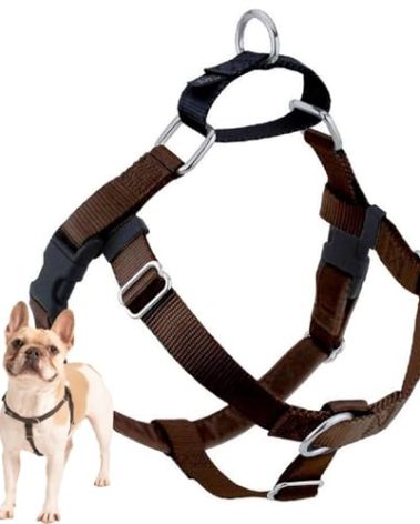 2 Hounds Design Freedom No Pull Dog Harness, Adjustable Harness, Easy Walking & Comfortable Control, Fits Small, Medium & Large Dogs, Solid Colors, Made in USA, 1" LG, Brown