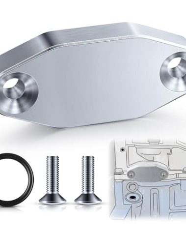 Saillong 1 Pack LS Billet Oil Cooler Block off Plate on Oil Pan LS Billet Port Plate Compatible with Gen III IV Series Engines LS3 LSX LS1 LS2 LS6 L9H LQ4 LQ9 L92 4.8L 5.3L 5.7L 6.0L 6.2L (Silver)