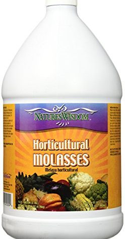 Liquid Molasses Horticultural - Gallon