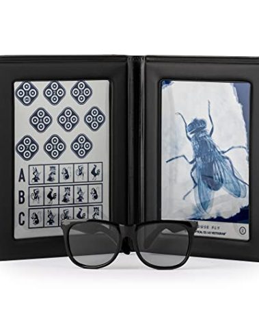 Stereo Fly Vision Test (SO001) for Evaluation of Gross Stereopsis and Fine Depth Perception