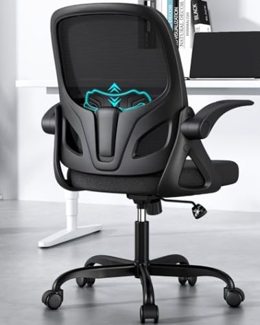Kensaker Home Desk Chair with Back Supportive Lumbar Support, Breathable Double Mesh Cushion Home Desk Office Chair with Flip up Arms, Modern Ergonomic Home Office Chair for Work(Black)