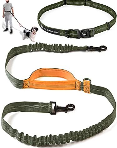 Exquisite Hands-Free Leash for Medium Dogs: Perfect for Active Pet Owners Comfortable, Durable & Ideal for Running, Walking, Hiking. Premium Dog Waist Leash with Bungee. Must-Have Dog Gear