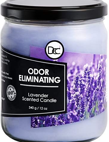 Lavender Odor Eliminating Highly Fragranced Candle - Eliminates 95% of Pet, Smoke, Food, and Other Smells Quickly - Up to 80 Hour Burn time - 12 Ounce Premium Soy Blend