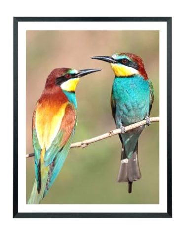 Mxtallup 19x24 Picture Frames Solid wood,Display Pictures 17x22 Inch With Mat or 19x24 Inch Without Mat, Poster Frames 17x22 in Photo Frames Wood Black (T22B1924W1722)