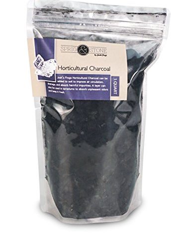 Josh's Frogs Sprig & Stone Horticultural Charcoal (1 Quart)