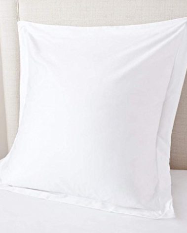 Euro Sham Covers 24x24 Set of 2 White 600 Thread Count 100% Egyptian Cotton Pack of 2 Euro 24x24 Pillow Covers Cushion Cover Cases Soft Skin Friendly European Size Decorative Square Pillow Shams