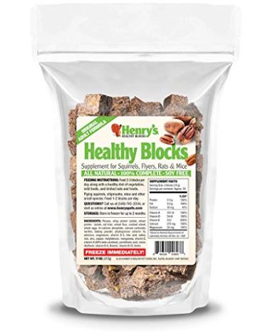 Henry's Healthy Blocks - Nutritionally Complete Food for Squirrels, Flying Squirrels, and Chipmunks, 11 Ounces