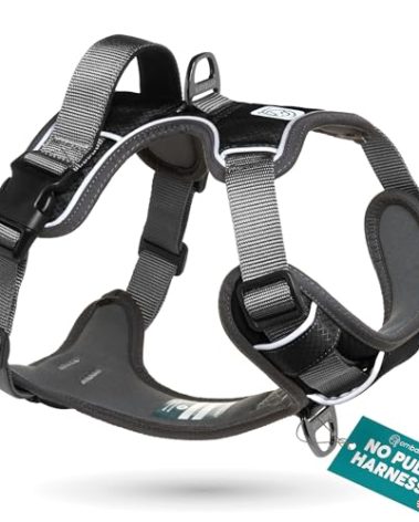 Embark Adventure Dog Harness, Reflective Trim No Pull Dog Harness Medium Sized - Military Grade Nylon, Front Clip with Gel Lined Handle. Soft & Padded Puppy Harnesses for Any Breed