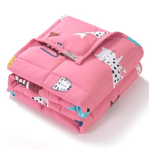 Version 1.0.0 Version 1.0.0