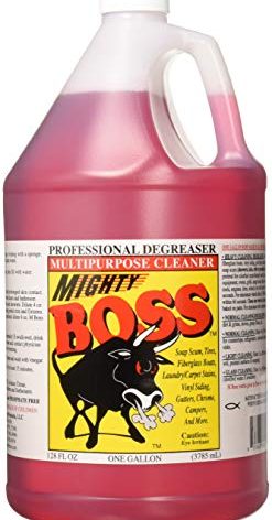Zoom Cleaning PROD 21MB4 Gal Mighty Boss Cleaner