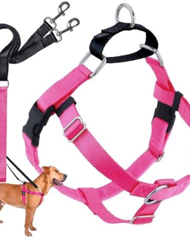 2 Hounds Design Freedom No Pull Dog Harness | Comfortable Control for Easy Walking |Adjustable Dog Harness and Leash Set | Small, Medium & Large Dogs | Made in USA | Solid Colors | 5/8" MD Hot Pink