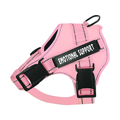 41JeqguxnL._SL500_.jpg 41JeqguxnL._SL500_.jpg