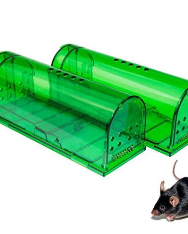 Humane Mouse Trap - Mouse Traps That Work – Best Mouse, Mice and Rat Trap Plastic Traps Live Catch and Release Rodents, Safe Around Children and Pets (2Packs)