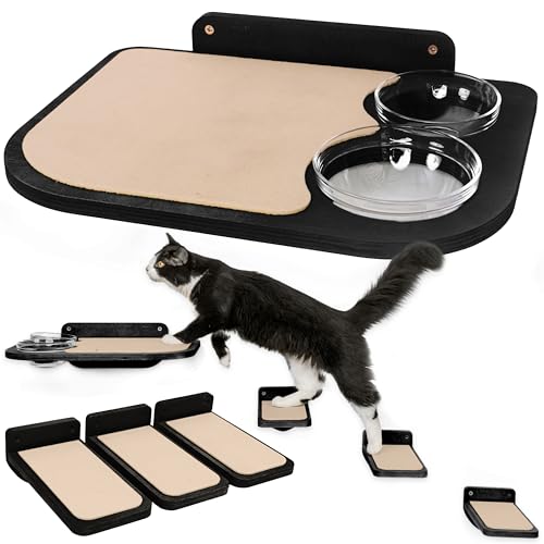 Version 1.0.0 Version 1.0.0