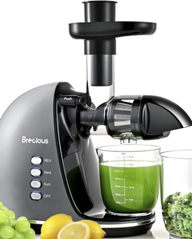 Slow Masticating Juicer,Brecious Cold Press Juicers with 2 Speed Modes & Quiet Motor,Juicers Machines Vegetable and Fruit with Reverse Function,Celery Juicer,BPA-Free,Easy to Clean (Silver)