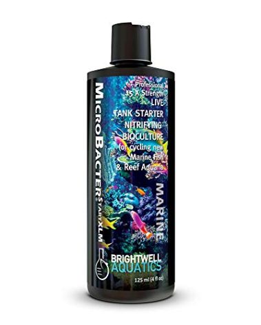 Brightwell Aquatics MicroBacter Start XLM - Concentrated Freshwater Nitrifying Bacteria - Quick Start Fish Tank Starter, Lift Microbe Levels & Water Filtering - Aquarium Water Treatments, 4.22 fl oz