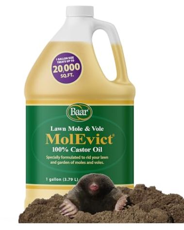 Baar Products - MolEvict Lawn Mole Castor Oil - Lawn & Garden Protection - Up to 20,000 Sq. Ft. of Coverage - 1 Gallon