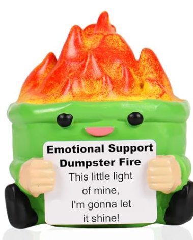 TTDOM Dumpster Fire Desk Accessories White Elephant Gifts for Women Emotional Support Dumpster Fire with 5Pcs Inspirational Cards Appreciation Gifts for Coworkers Bosses