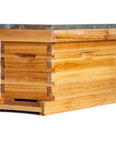 BeeCastle 5 Frame Bee Hive Nuc Box Coated with 100% Beeswax Includes Beehive Frames and Waxed Foundations