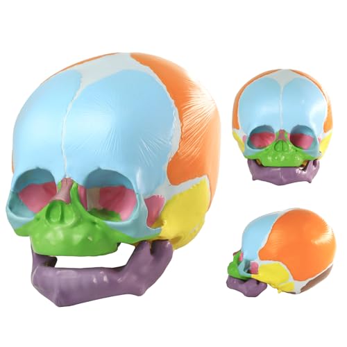 Version 1.0.0 Version 1.0.0