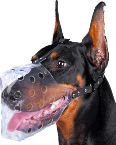 Mayerzon Dog Muzzle, Basket Muzzle for Small Medium Large Sized Dogs to Prevent Biting for Grooming Scavenging, Breathable Mouth Guard for Husky Golden Retriever Labrador Beagle