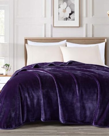 Chezmoi Collection Heavy Single Ply 9 Lbs Korean Style Faux Mink Blanket, 750GSM Thick Silky Soft Plush Raschel Mink Blanket, 85" x 95" King, Solid Purple