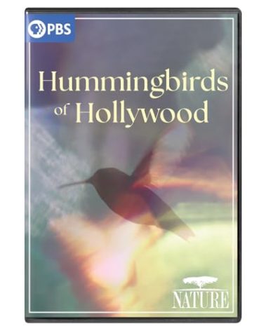 NATURE: Hummingbirds of Hollywood DVD