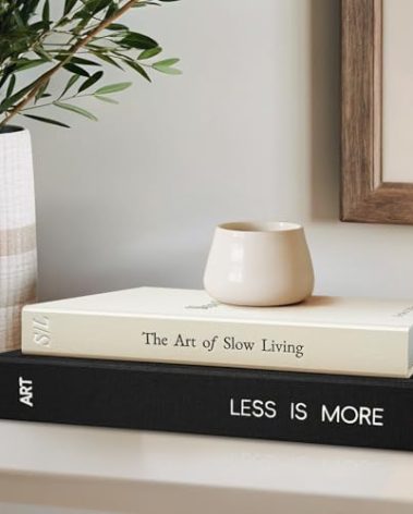 Braveriky Minimalist Decorative Books - Fake Books Storage Box for Decoration - Set of 2 Linen Coffee Table Decor - Photo Storage Keepsake Box for Room Bookshelf Decor, Black