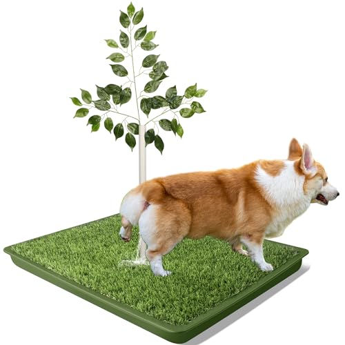 Version 1.0.0 Version 1.0.0