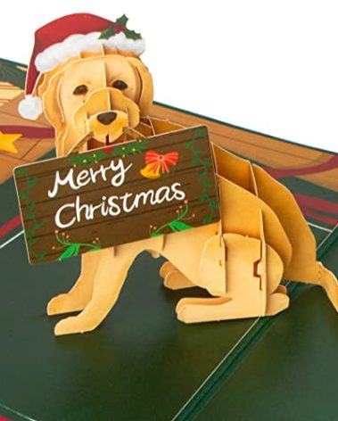 Ribbli Pop Up Christmas Card, 3D Greeting Card, Dog Christmas Card, Golden Retriever Card, Holiday Card, Merry Xmas Cards for Kids Mom Dad Son Daughter Grandson Granddaughter Wife, with Envelope