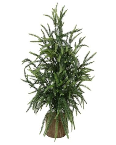 2ft Premium Lifelike Artificial Norfolk Pine Tree with Realistic Artificial Wood Pot Perfect Year-Round Indoor Outdoor Decor for Holidays Home Office