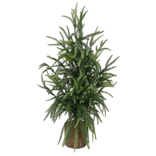 Version 1.0.0 Version 1.0.0