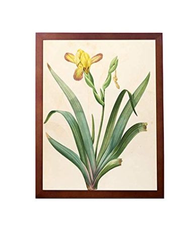 Leoyoubei Poster Frame A3 -Actual Fits 11 3/4x16 1/2 inch Photo,Print,Poster,Portrait or Artwork Frame 3/4 Inch Wide,Hanging Picture Frame (Brown)