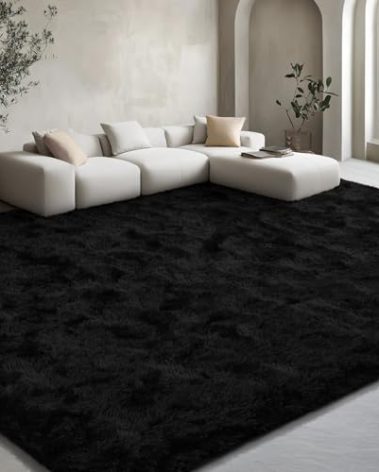 EVOIONOS 5x7 Washable Large Area Rug for Living Room, Fluffy Shag Rug for Bedroom, Ultra Soft Plush Non Slip Carpet for Indoor Floor Bedside Nursery Kids Girls Room Dorm, Home Decor Aesthetic, Black