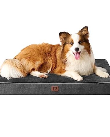 EHEYCIGA Memory Foam Dog Bed Orthopedic 41"x27",Waterproof Pet Bed for XLarged Dogs ,Washable Pet Mat with Removable Cover, Dark Grey