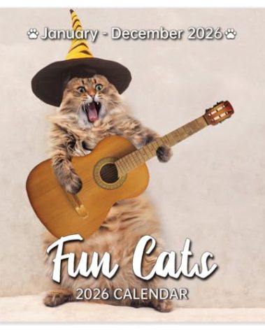 2026 Wall Calendar - 2026 Calendar, Funny Cats Calendar 2026, Jan. 2026 - Dec. 2026, 2026 Wall Calendar 12 Month, Funny Cat Memes Pics, 12'' x 24'' (Open), Unruled Block, Hanging Hole, Holidays