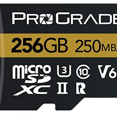 microSD Card V60 (256GB) - Tested to Work with Full-Size SD Card Devices | Up to 250MB/s Read, 130MB/s Write by ProGrade Digital