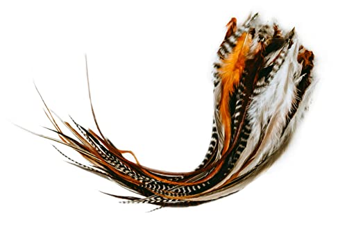 Version 1.0.0 Version 1.0.0