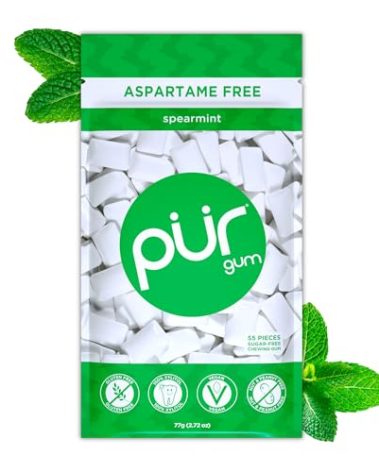 PUR Gum | Aspartame Free Chewing Gum | 100% Xylitol | Natural Spearmint Flavored Gum, 55 Pieces (Pack of 1)