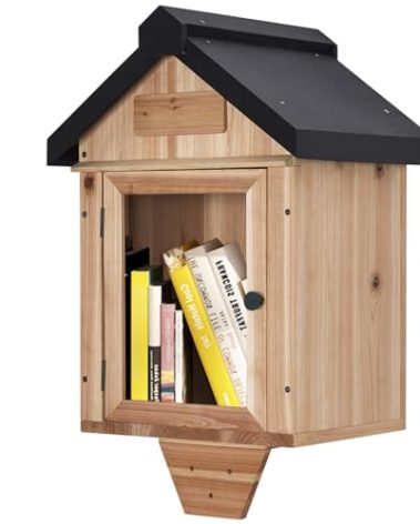 Ruomi1y Little Library Box Outdoor,Free Library Box Little Outdoor Book Storage,Wood Cabinet for DIY Neighborhood Community School Sharing Books, Literature, Newspapers, Food, Art